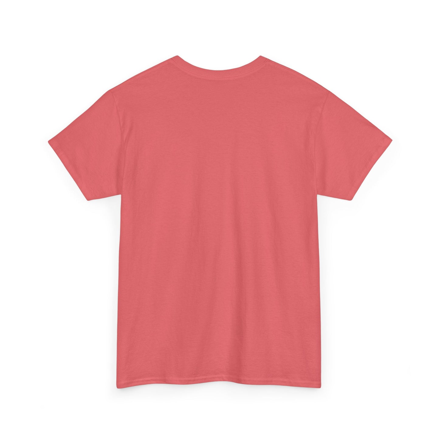 Cute Kawaii Dizzy Cat T-Shirt — "head empty. thoughts spinny."